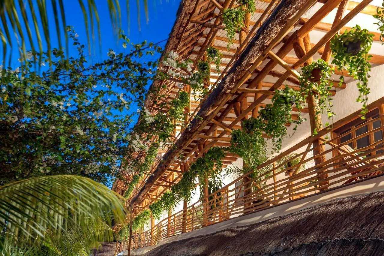 Tropical Suites By Mij Isla Holbox Hotel