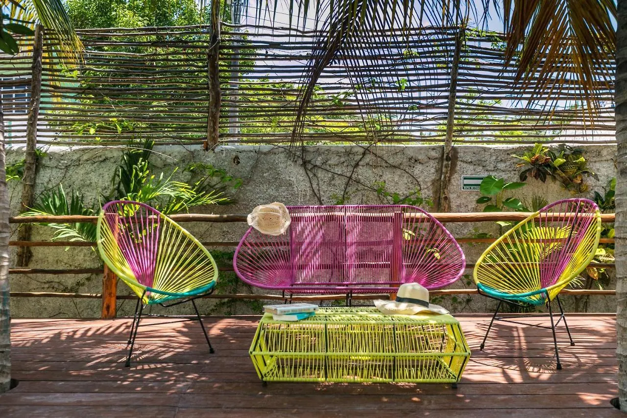 Tropical Suites By Mij Isla Holbox México