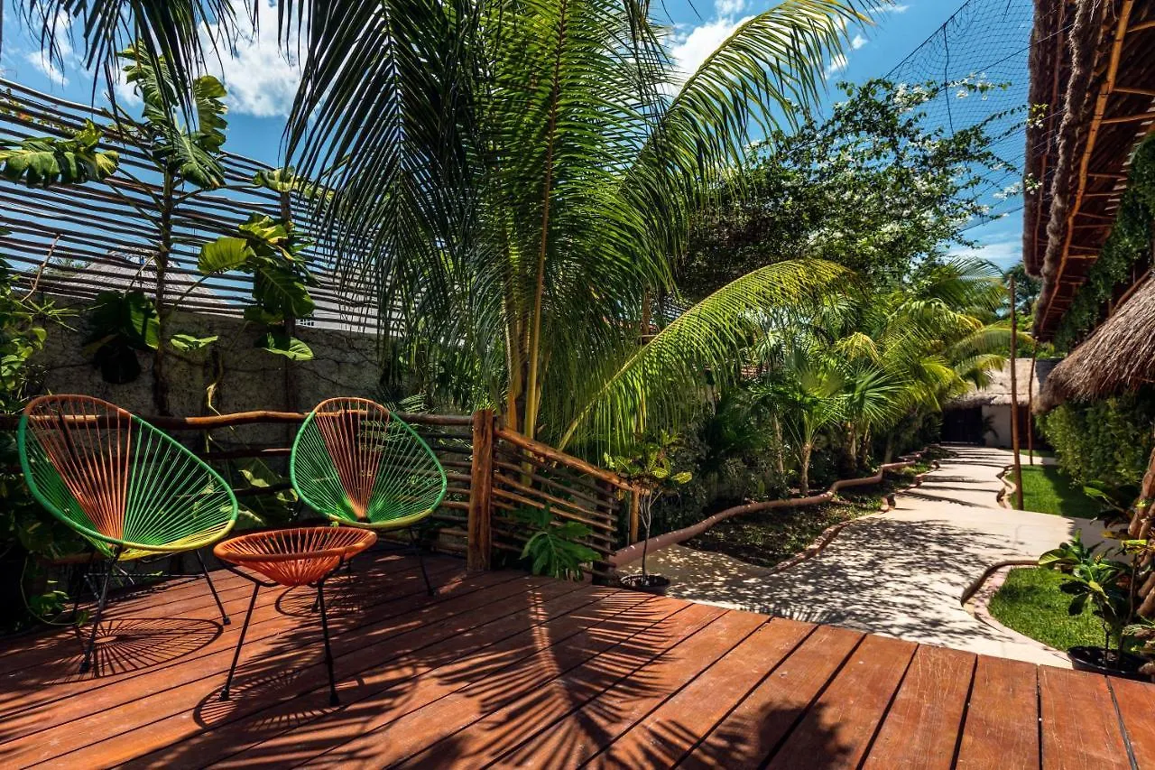Tropical Suites By Mij Isla Holbox Hotel