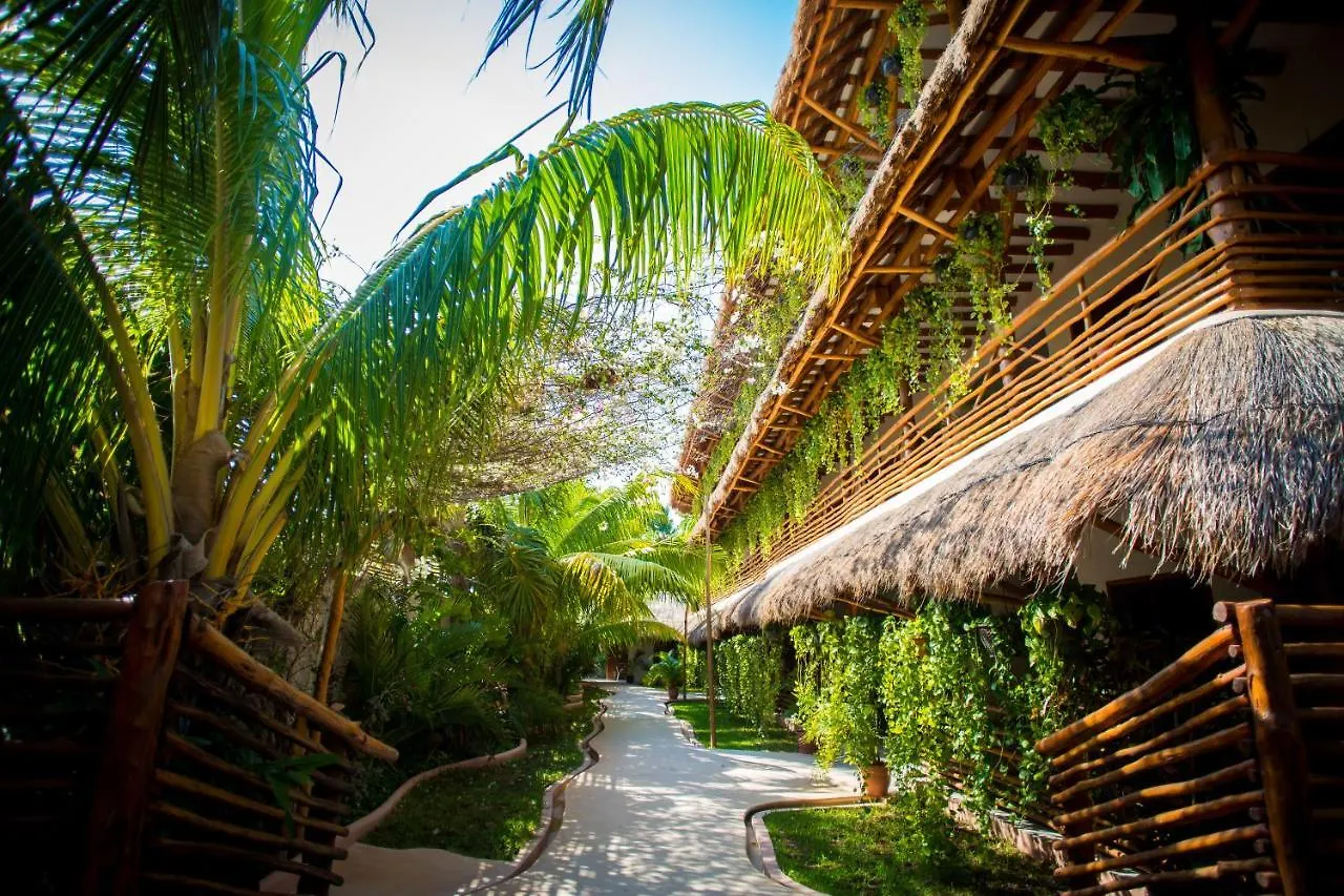 Tropical Suites By Mij Isla Holbox