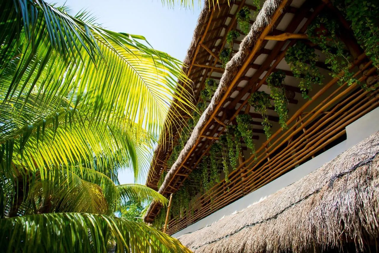 **** Hotel Tropical Suites By Mij Isla Holbox México