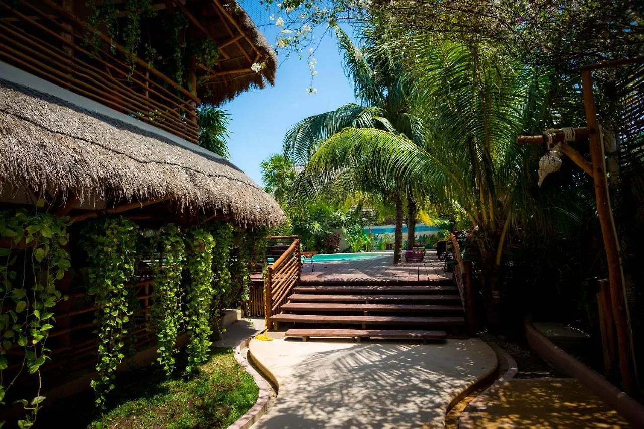 Hotel Tropical Suites By Mij Isla Holbox