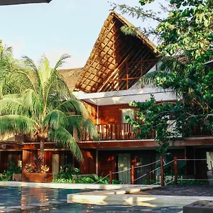 Caracol Ilha Holbox